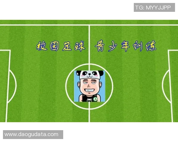 南京足球队的控球策略分析与比赛表现的得失评估